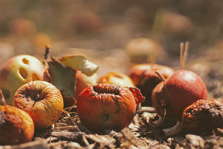 Case Study: How To Get People To Separate Their Organic Waste?